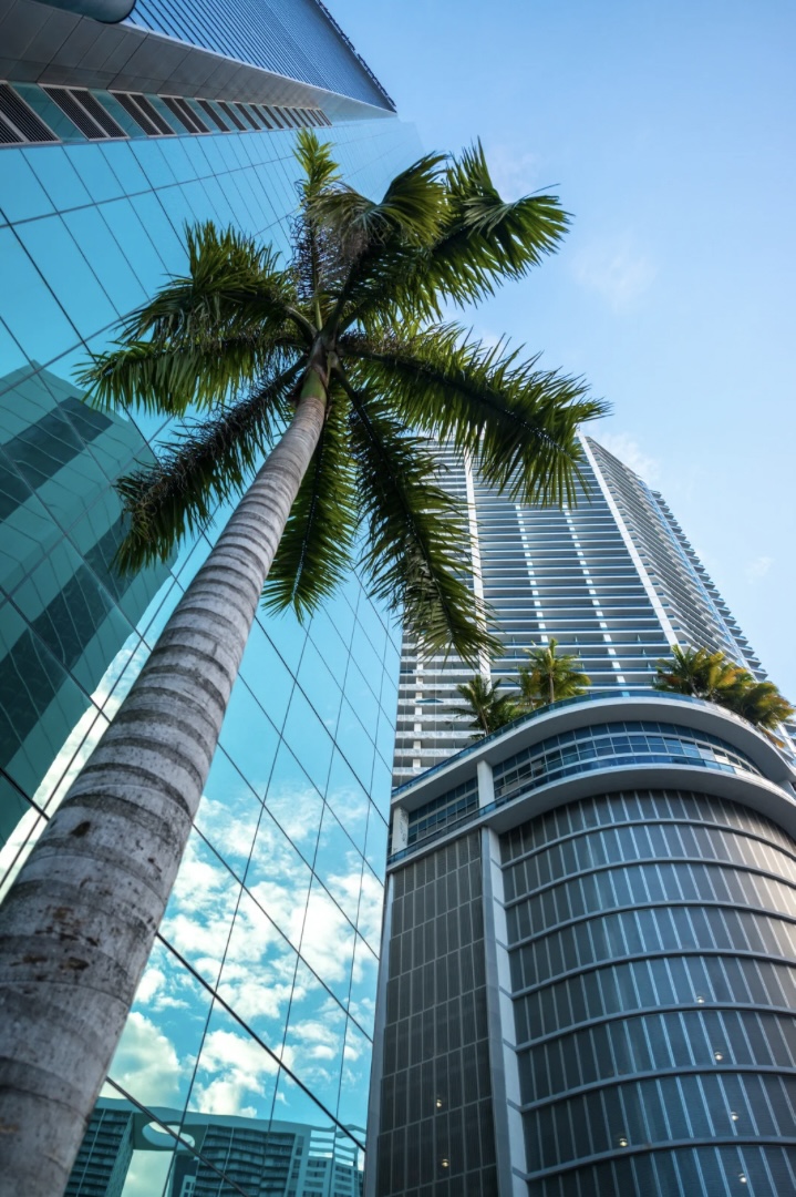 Financial District Miami skyline at sunset, optimized for Miami SEO and local business visibility.